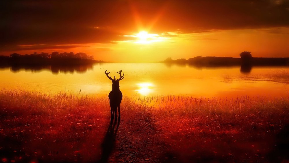 La Nature comme Temple de l’Esprit cosmique