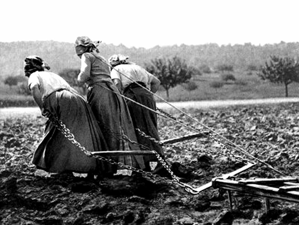 1914 – 1918 Des femmes écrivent « leur guerre »