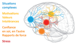 Le cerveau, cet inconnu 