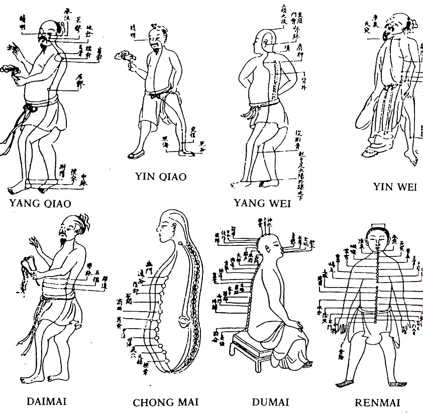 Le corps énergétique dans la tradition chinoise : le mystère des articulations.